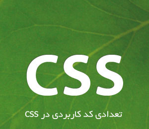 css_logo