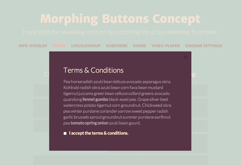 MorphingButtons02