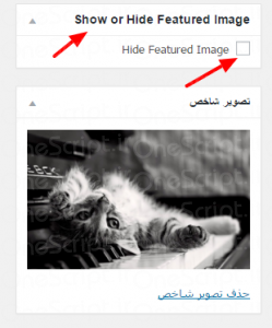 hide_feature_image_-249x300