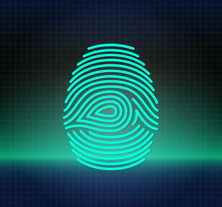 Digital-fingerprint